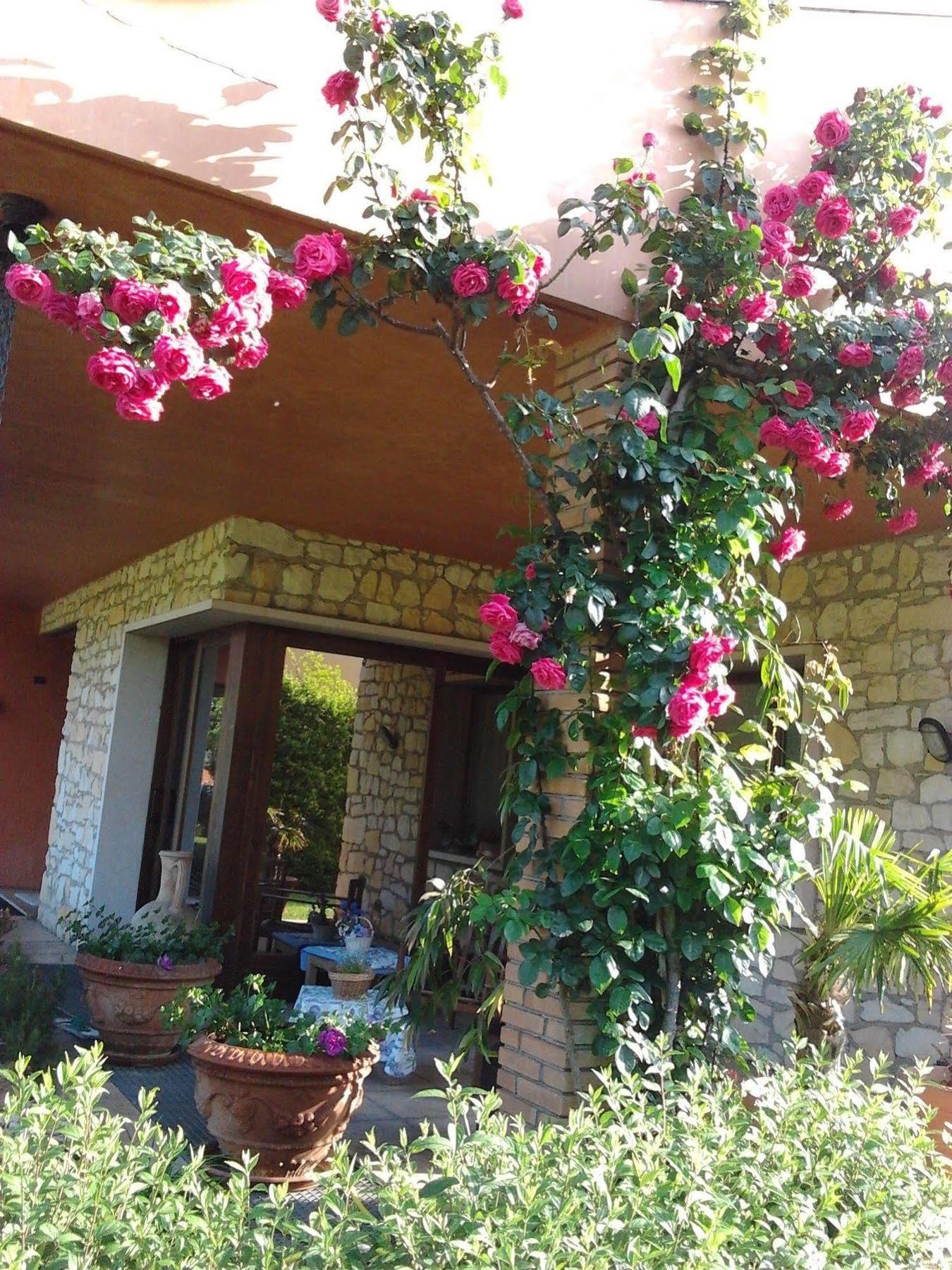 Montecchia di Crosara La Dolce Vita מראה חיצוני תמונה